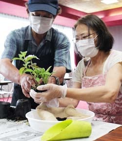 講師に教わりながら苔玉作りを楽しむ参加者