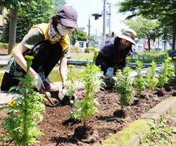 色とりどりの花苗を植える女性部員とJA職員