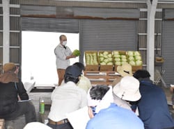 レタスの規格を確認した出荷査定会