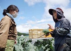 参加者にブロッコリーの収穫方法を教える有賀さん（右）