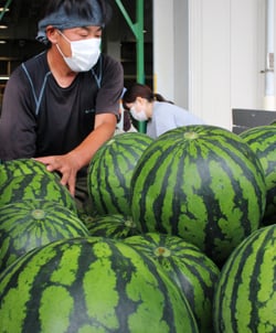 荷下ろしをする生産者（4日　松本市で）