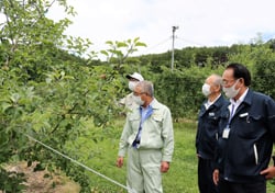 視察する伊藤会長ら（7月1日、佐久市湯原の圃場で）