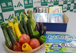 Aコース見本（野菜はイメージ）