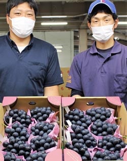 「今年もいい仕上がり」と話すJA職員