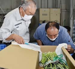 規格を確認する生産者（左）とJA職員（右）