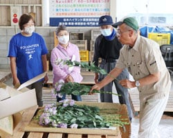 出荷規格などを確認する生産者（7日　松本市で）