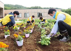 協力しながら花を植えるJA職員