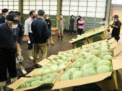 規格を確認する生産者ら