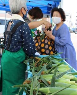 袋いっぱいに新鮮なトウモロコシを買い求める来店客
