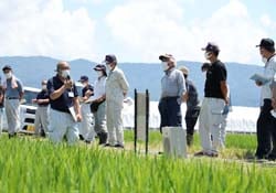栽培試験ほ場で生育状況を確認した「つきあかり現地指導会」