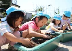 泥だんごに花の種をつける“たねダンゴ”をプランターに植える園児