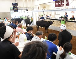 猛暑の中で開催した8月定例家畜市