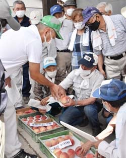果面の状態から基準を確認する生産者