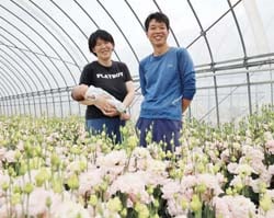 トルコギキョウ農家として新規就農した坂本さんご夫婦
