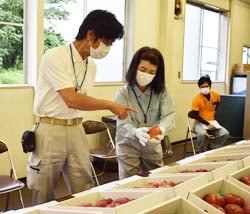 外観を確認する審査員