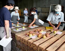 見本を手に取りながら出荷基準を確認する生産者ら