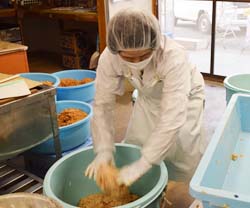 伊那華のみそ娘」仕込み／100％伊那市産の無添加みそ／伊那華のみそ娘