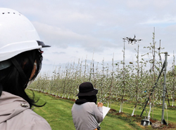 ドローンを使い人工授粉実験／リンゴ液体受粉 | 県内JAの話題 | JA長野