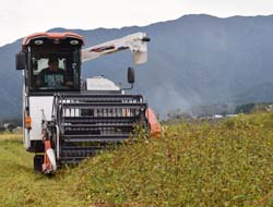 農家直送 221019_01.jpg