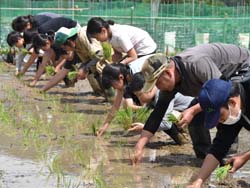 青壮年部員と支所職員が小学生の田植えをサポート