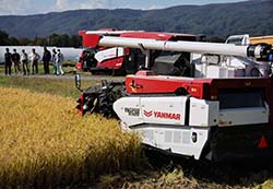 水稲　農業機械売ります。 231026_03.jpg