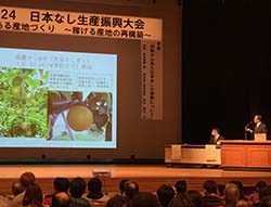 なし産地の復活へ取り組み具体化へ 南信州日本なし産地再生