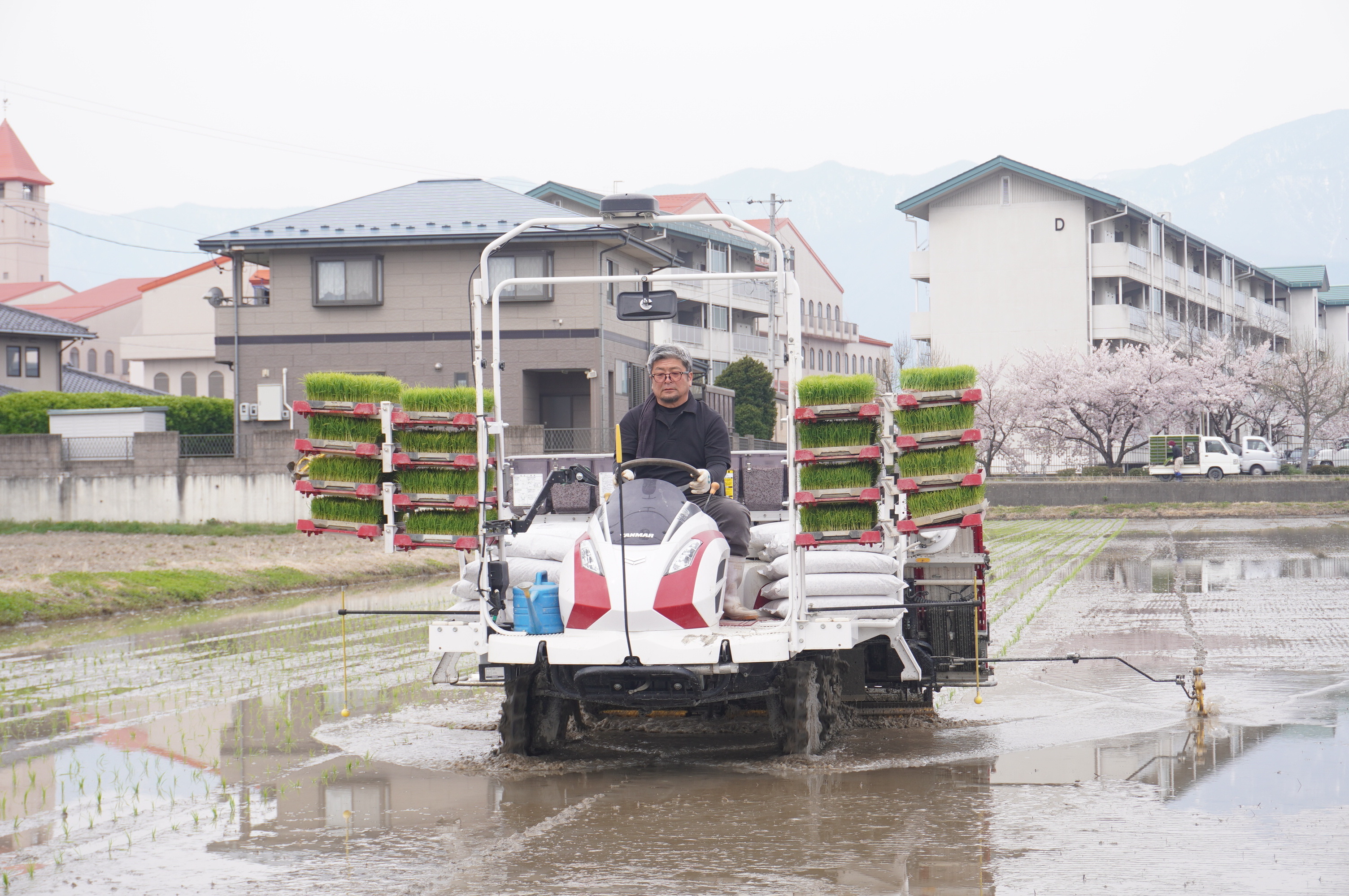 コシヒカリ」市内トップで田植え始まる | 県内JAの話題 | JA長野県
