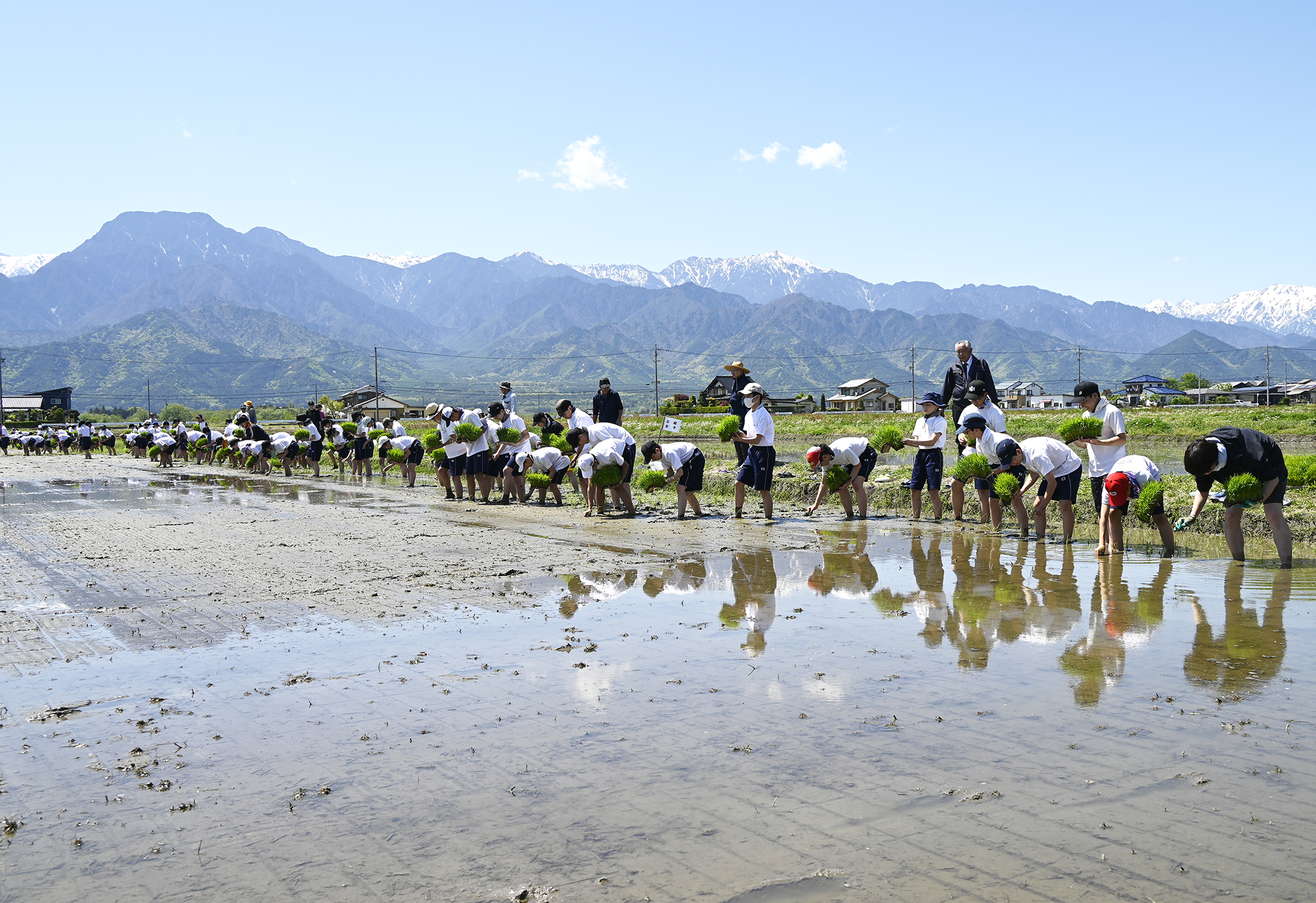 ただいま☆いけだまち」／三鷹の中学生、池田町で田植え体験 | 県内JA