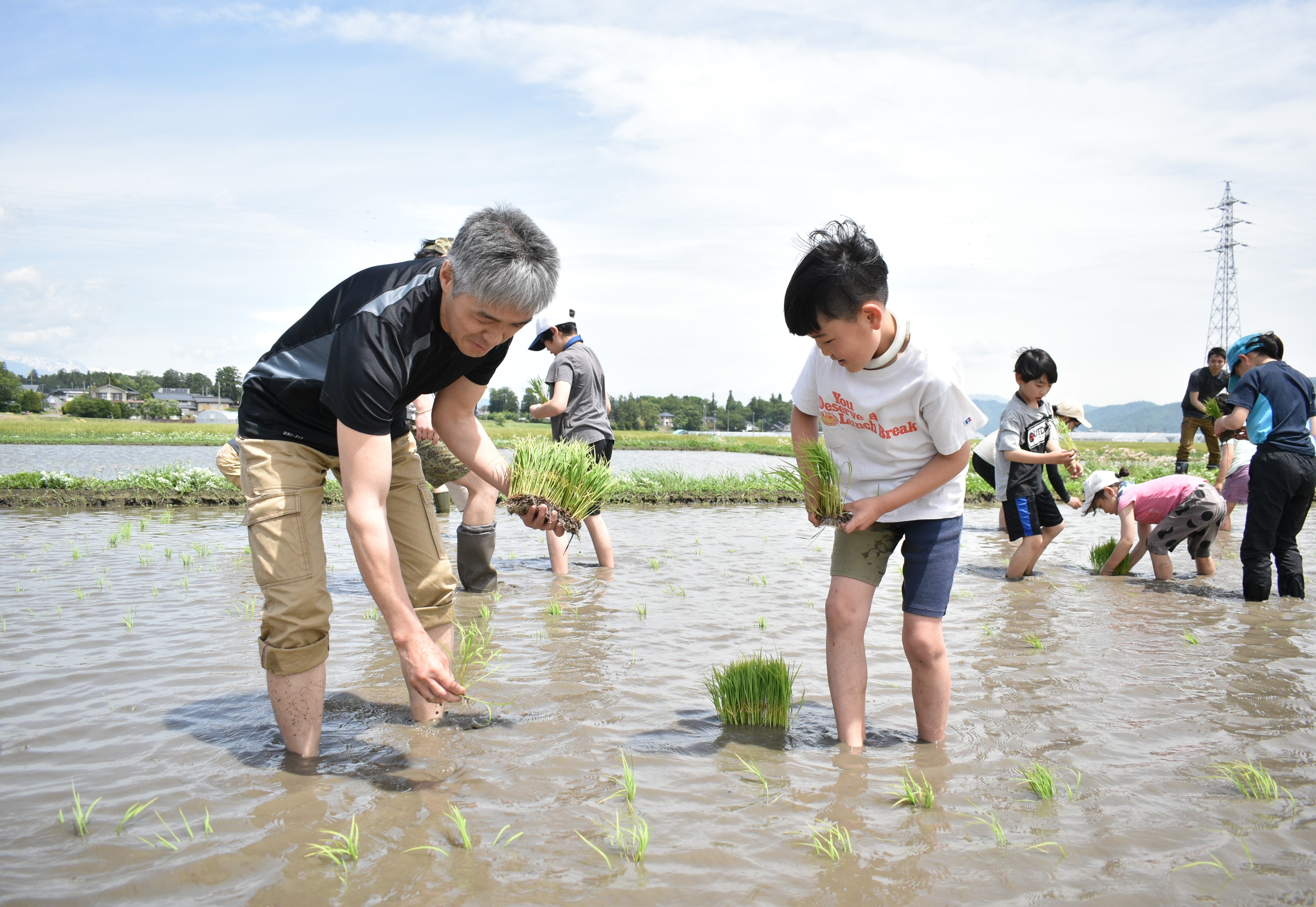 イラストみんなの農業教室 4 水稲の増収技術 送料無料 あぐりキッズスクール水稲コース今年も開講 田植えで農業体験 | 県内JA