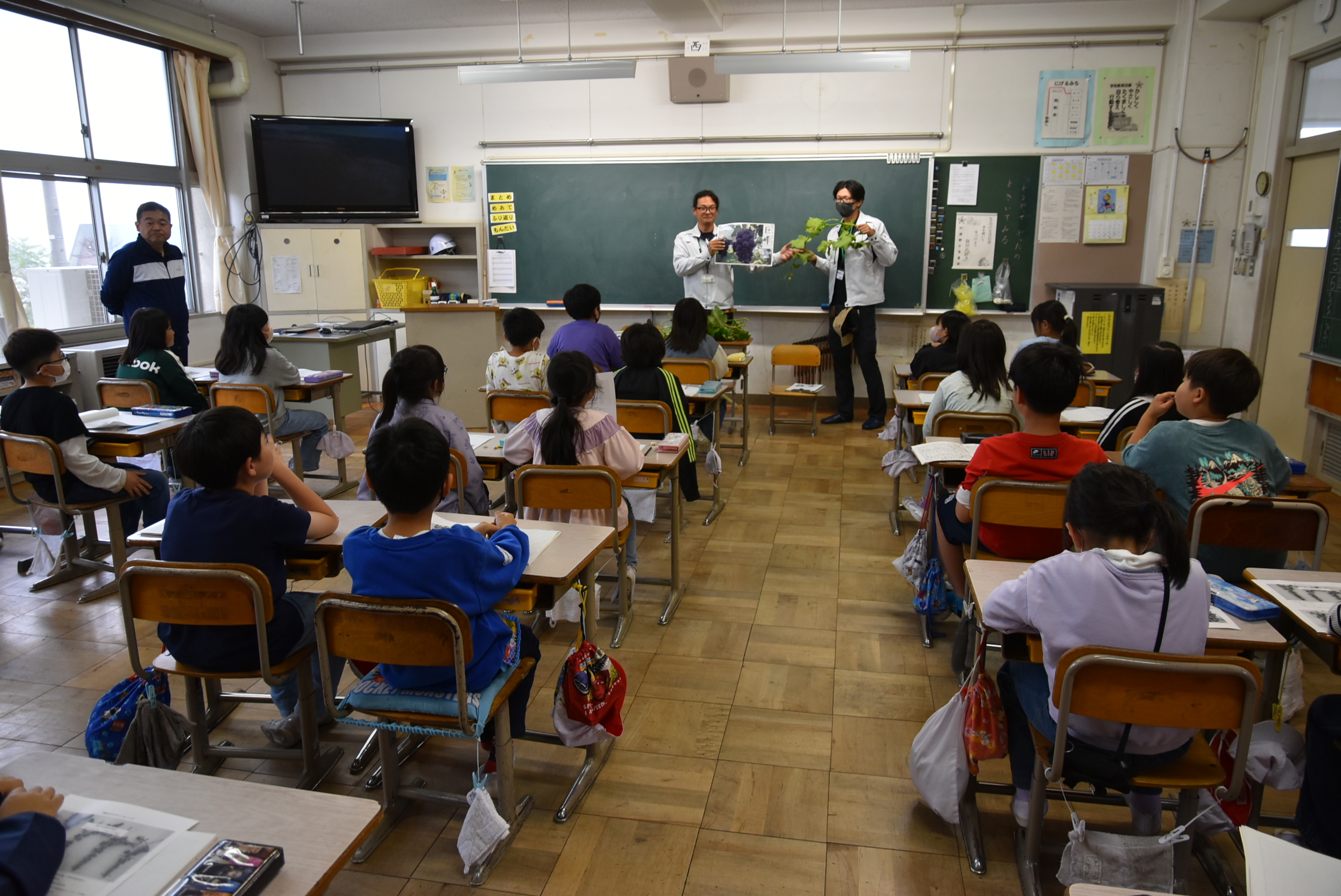 滋野小3年生巨峰の房切りを学習