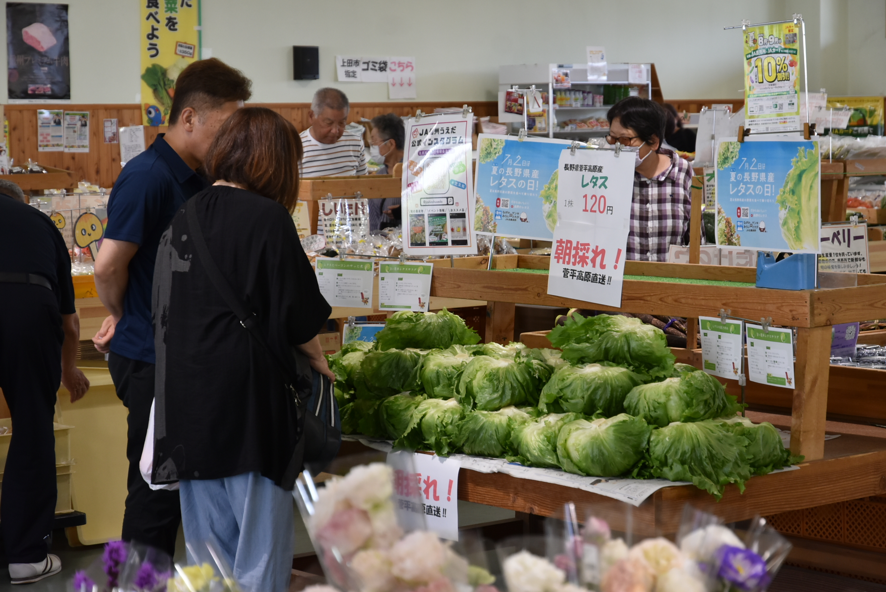 ７月２日はレタスの日　菅平産レタス３直売所で販売