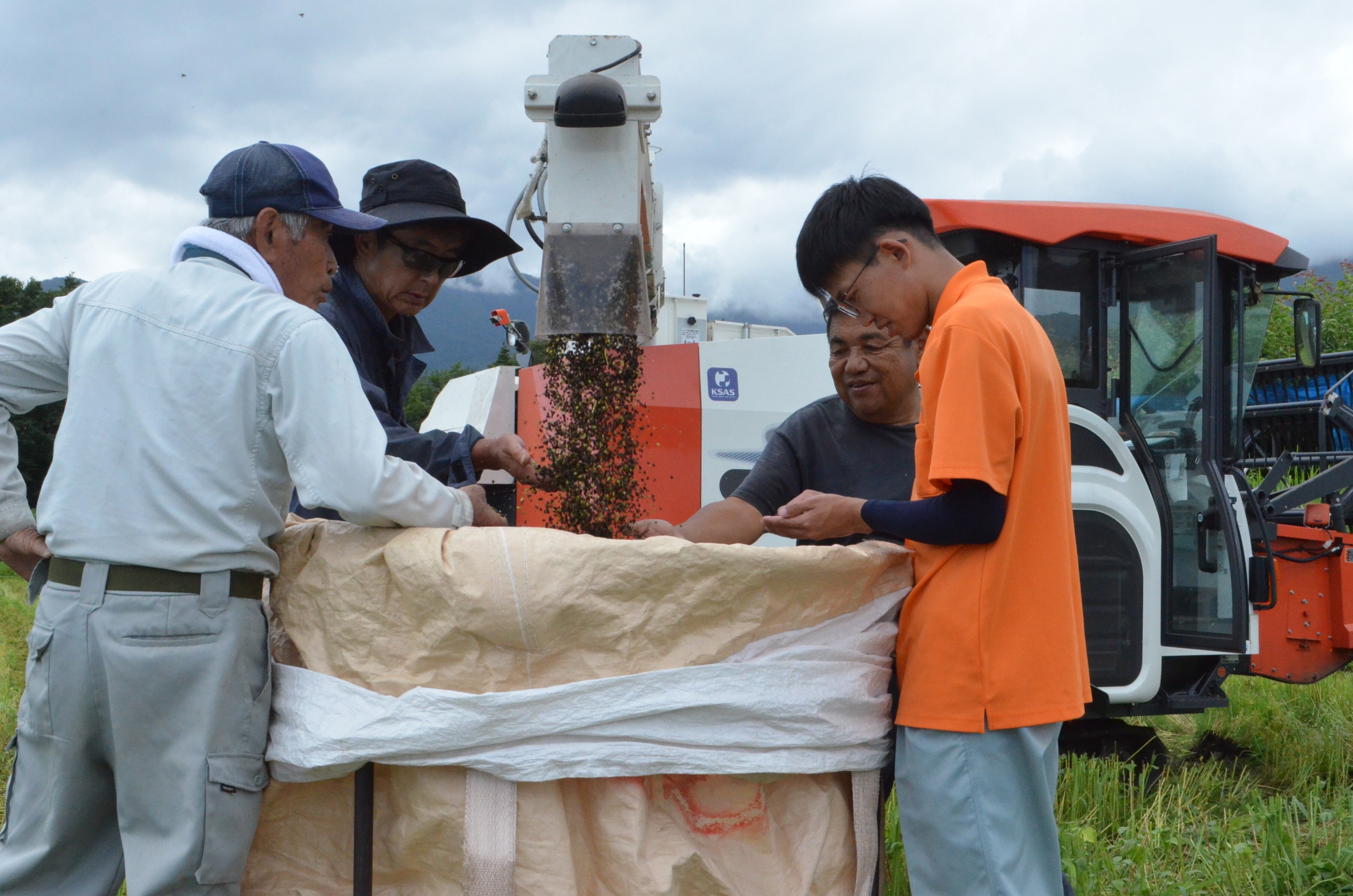 しなの夏そば収穫最盛期 信州伊那新そばまつりで提供 | 県内JAの話題