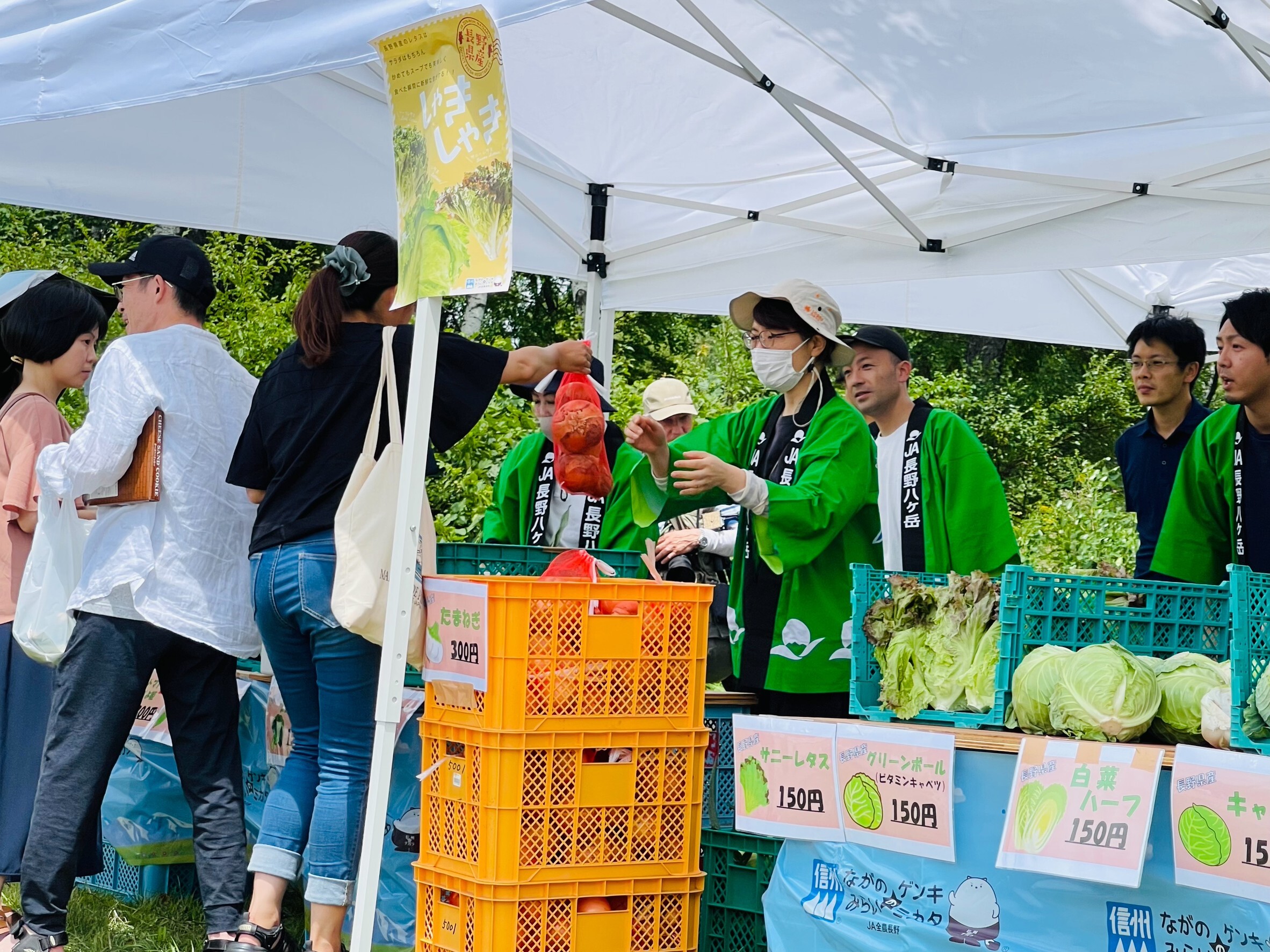 地元産野菜を販売