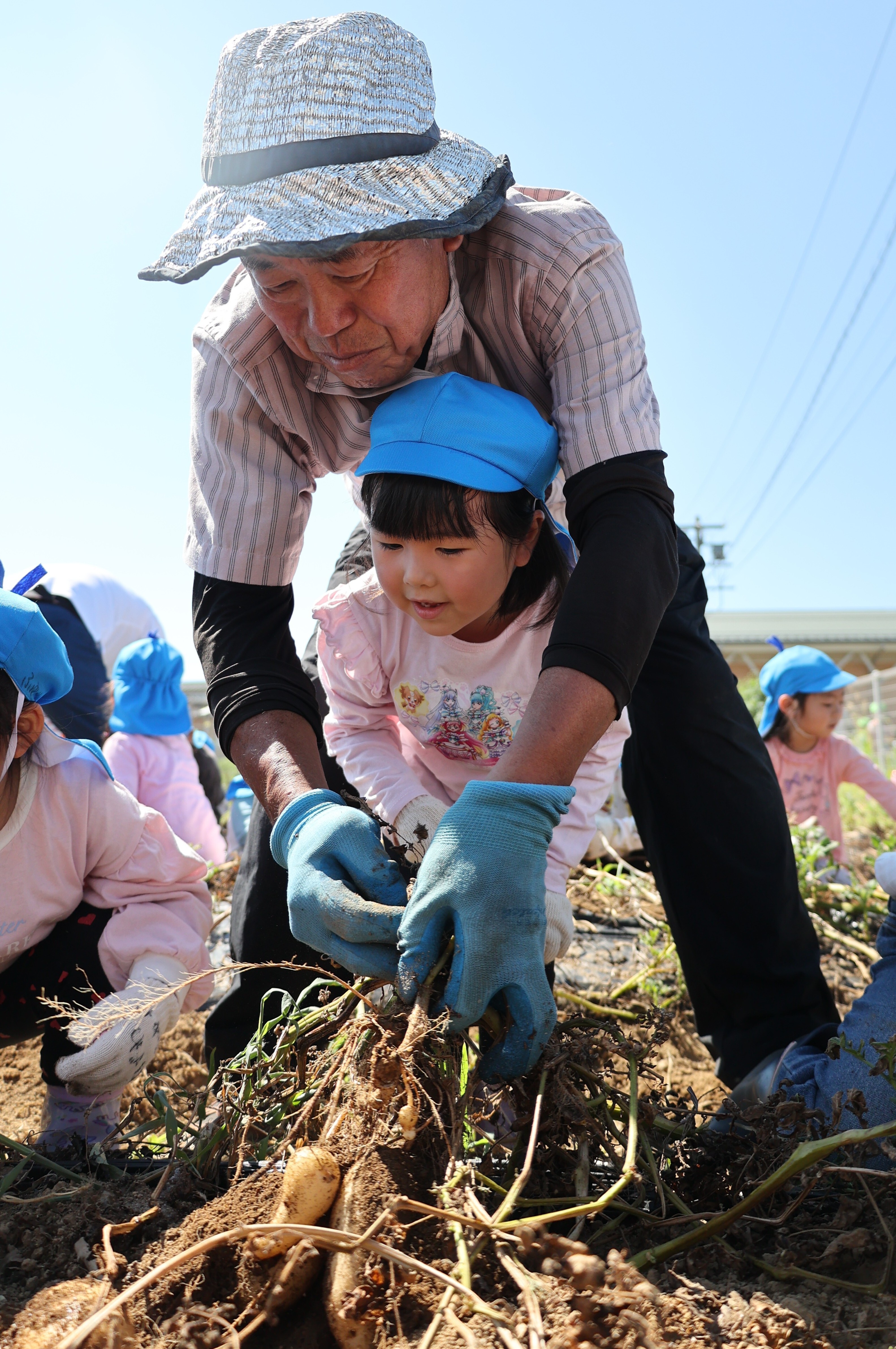 沖津農家組合長に教わりながらジャガイモを収穫する園児