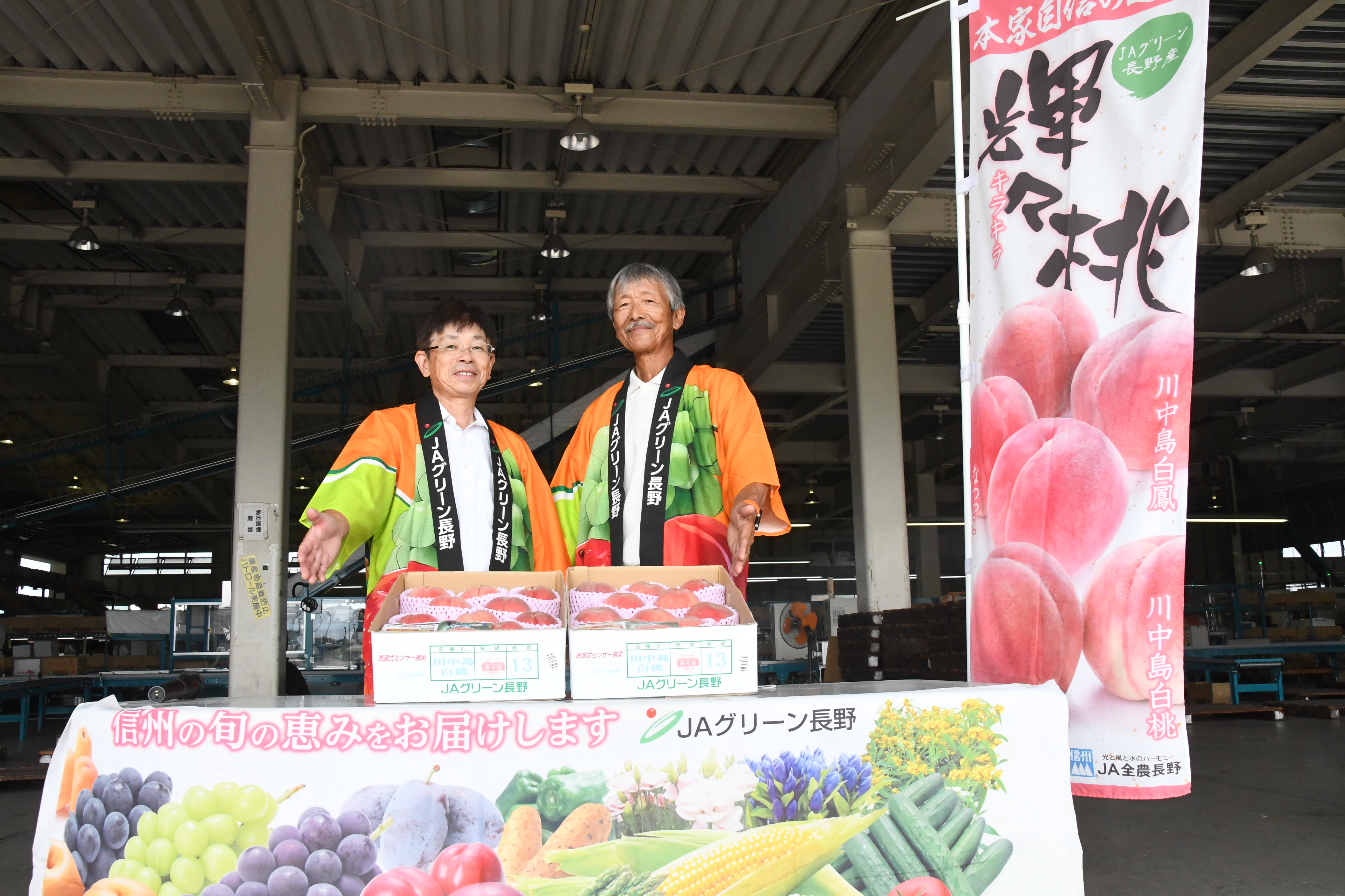 のんさん専用　特大＋大　桃 　川中島　ワケあり 規格外 2箱 いよいよ主力の「川中島白桃」出荷本格化 | 県内JAの話題 | JA長野県
