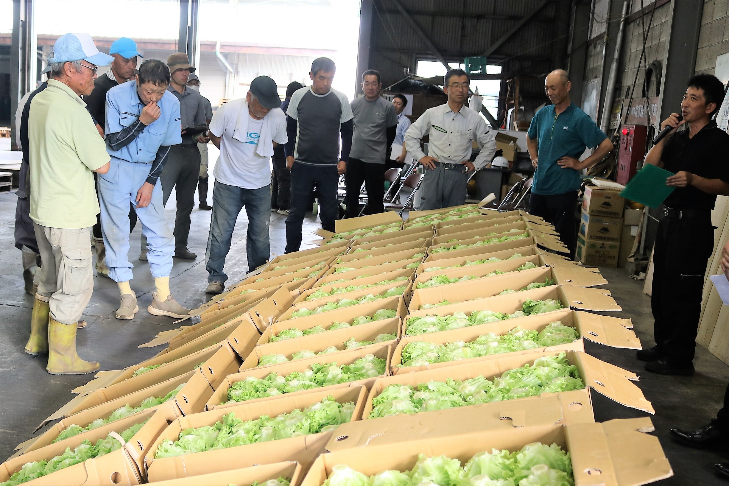 秋野菜出荷最盛へ | 県内JAの話題 | JA長野県グループ「農」のポータル