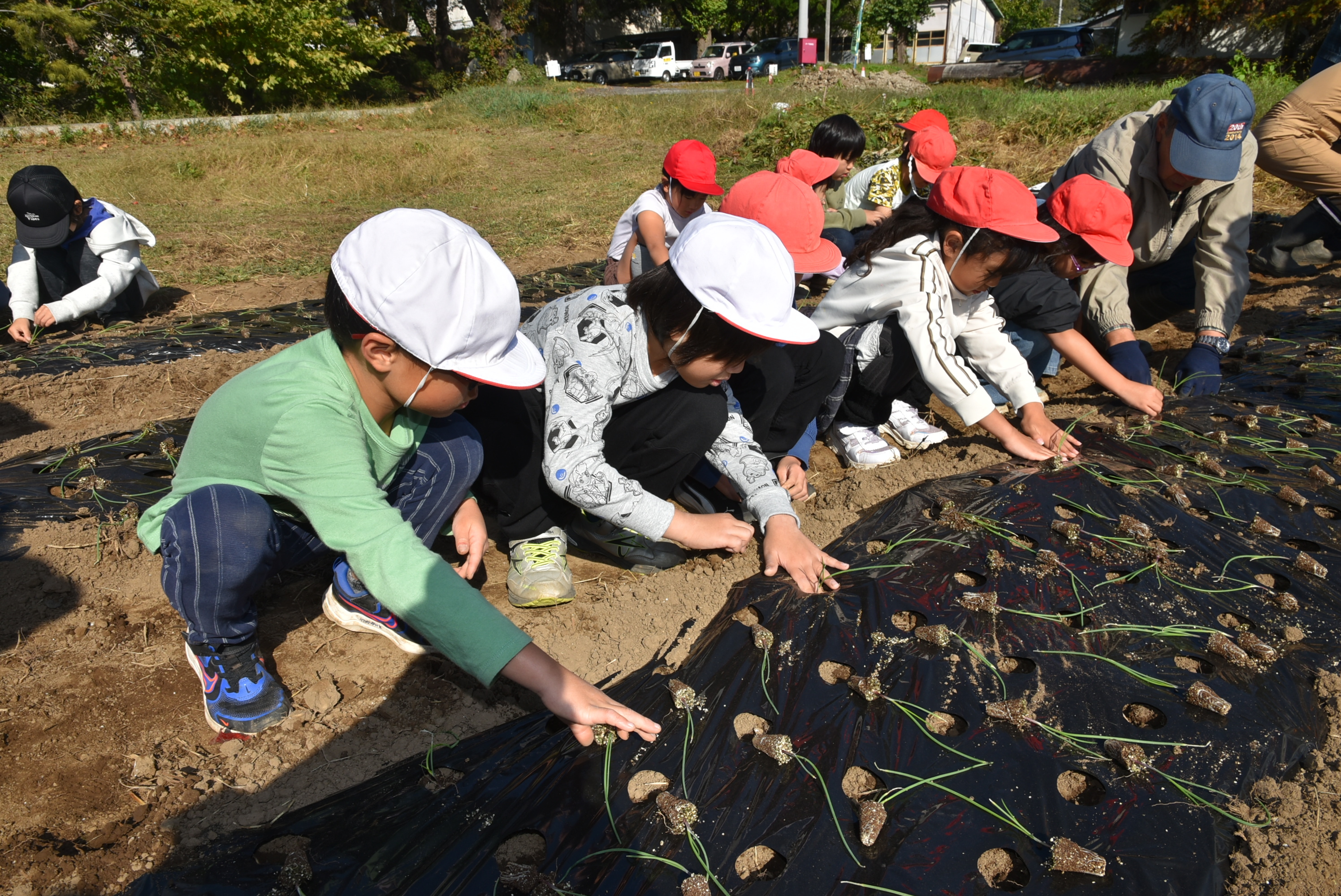 委員から植え方を教わる児童