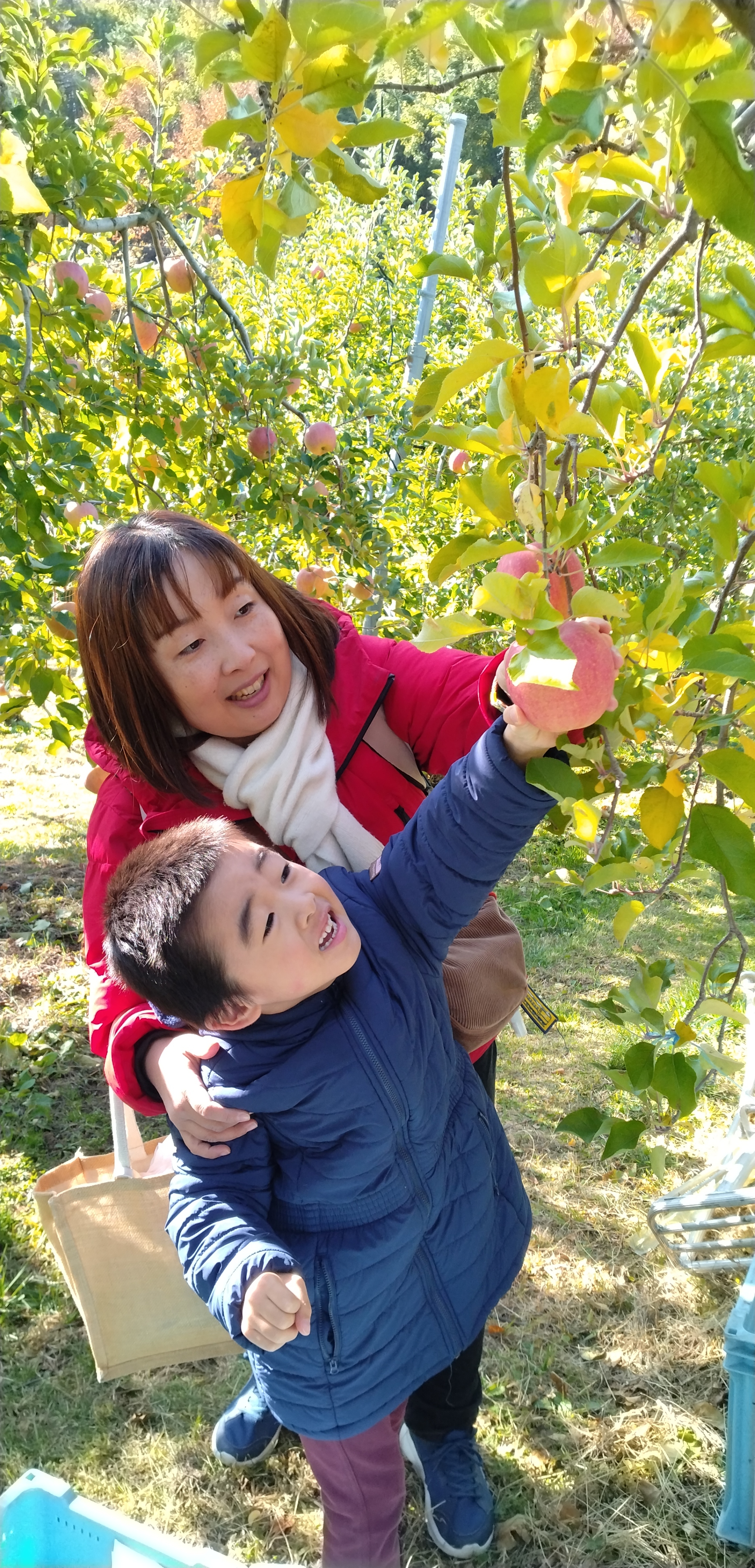 収獲を楽しむオーナーたち