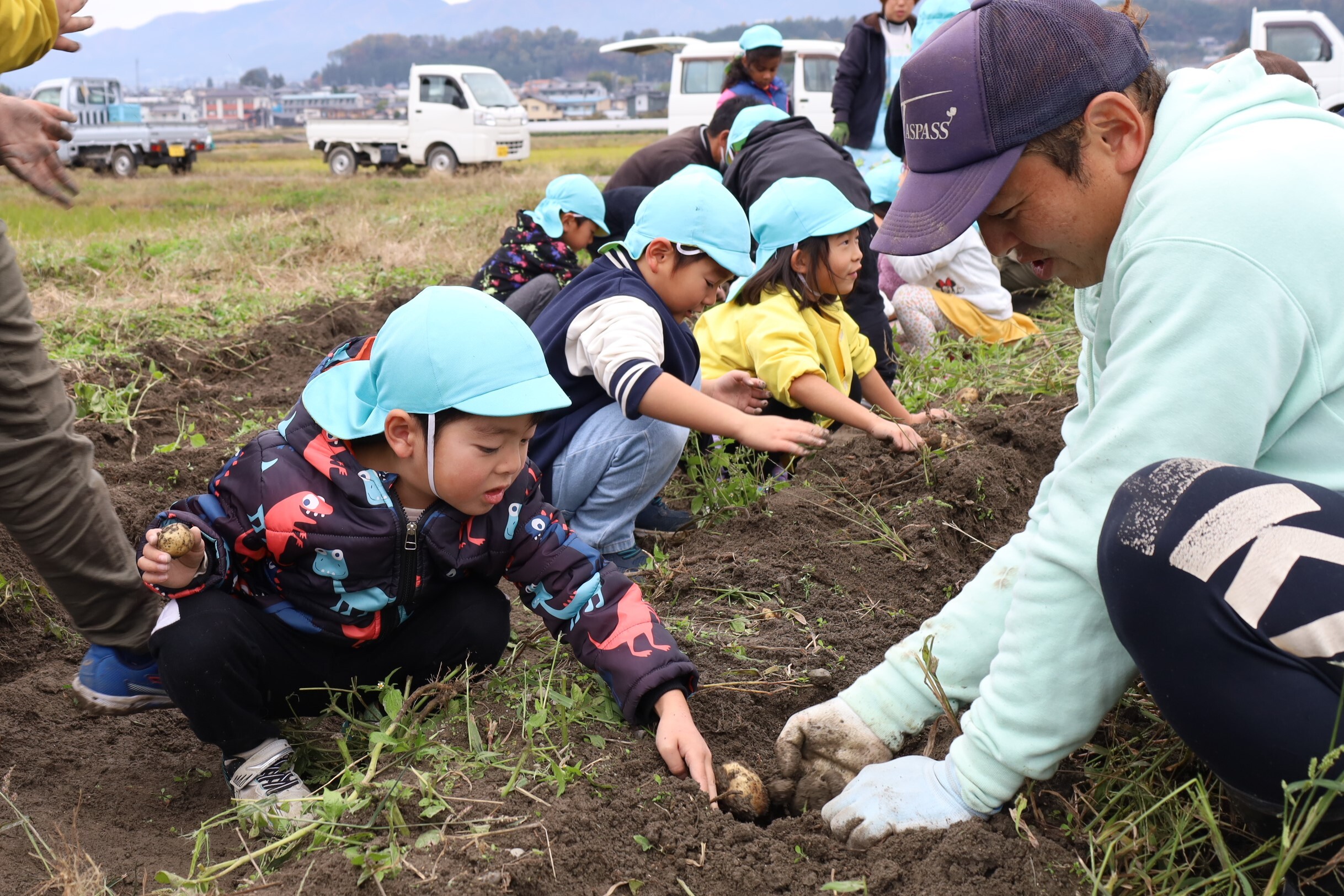 班員と楽しくジャガイモを収穫する児童