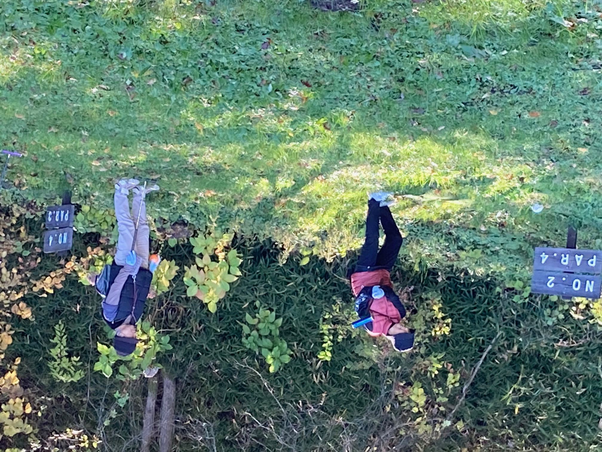 マレットゴルフを楽しむ参加者