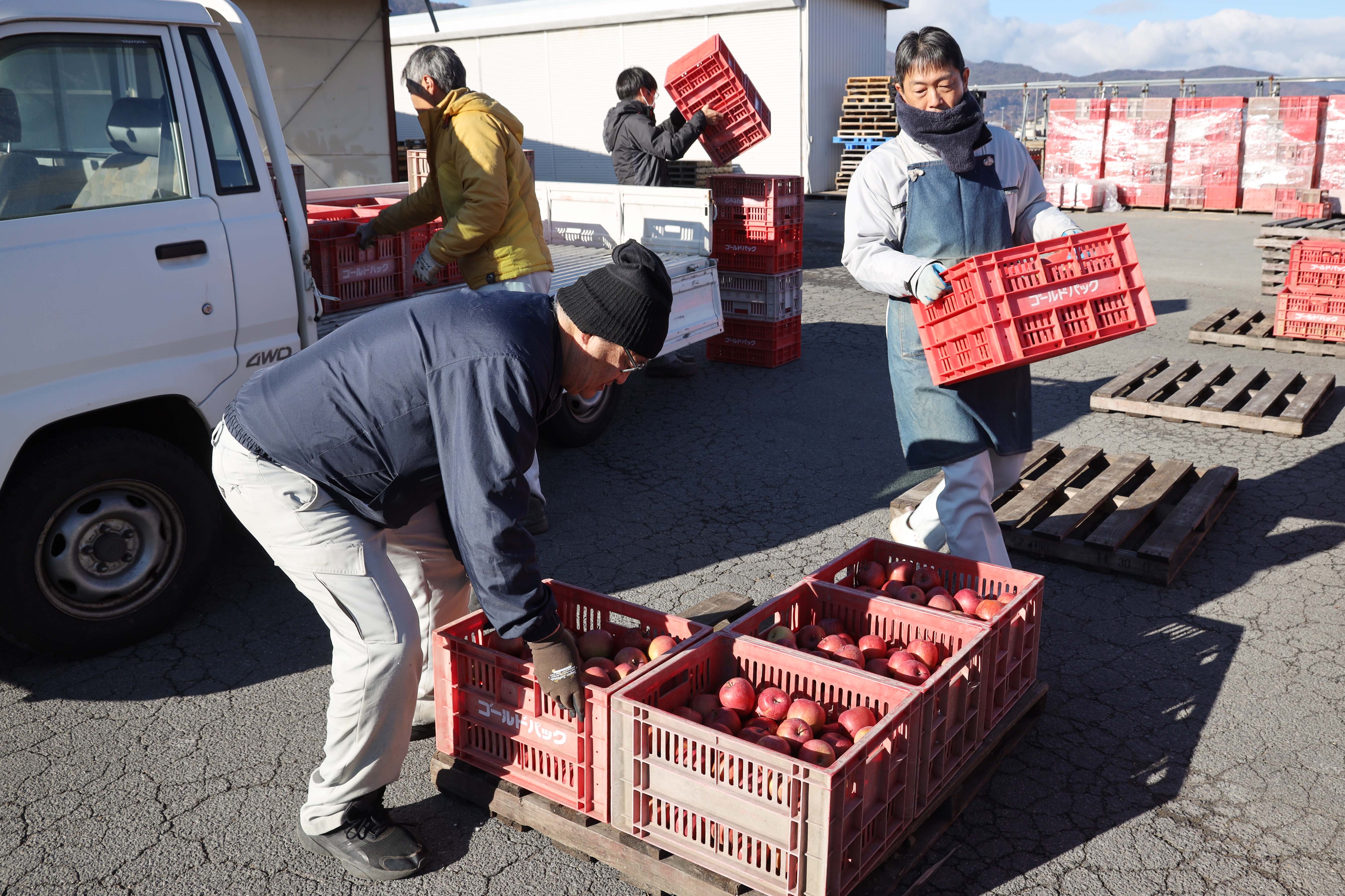 りんご　ワゴン JA信州諏訪のりんごジュース」販売に向け、加工用リンゴ集荷開始