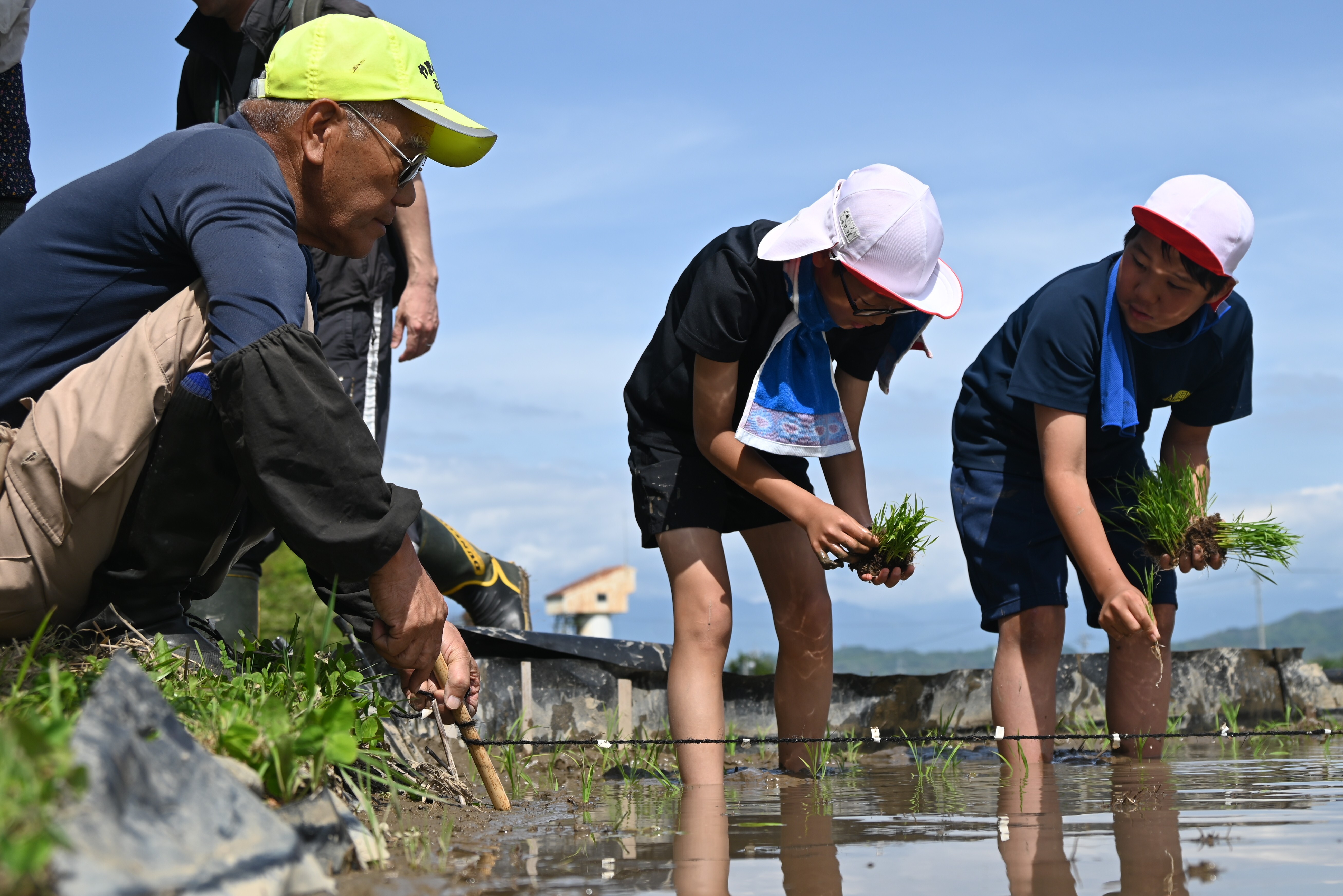 「こんな山辺にするじゃん会」のメンバーに教わりながら田植えをする児童たち（１２日、長野県松本市で）