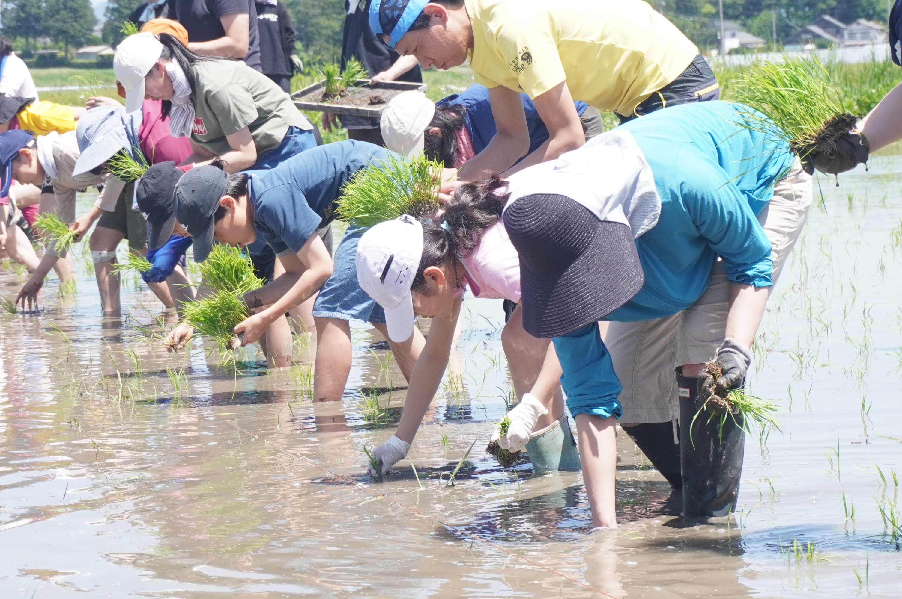 田植えに挑戦する参加者たち（安曇野市堀金）