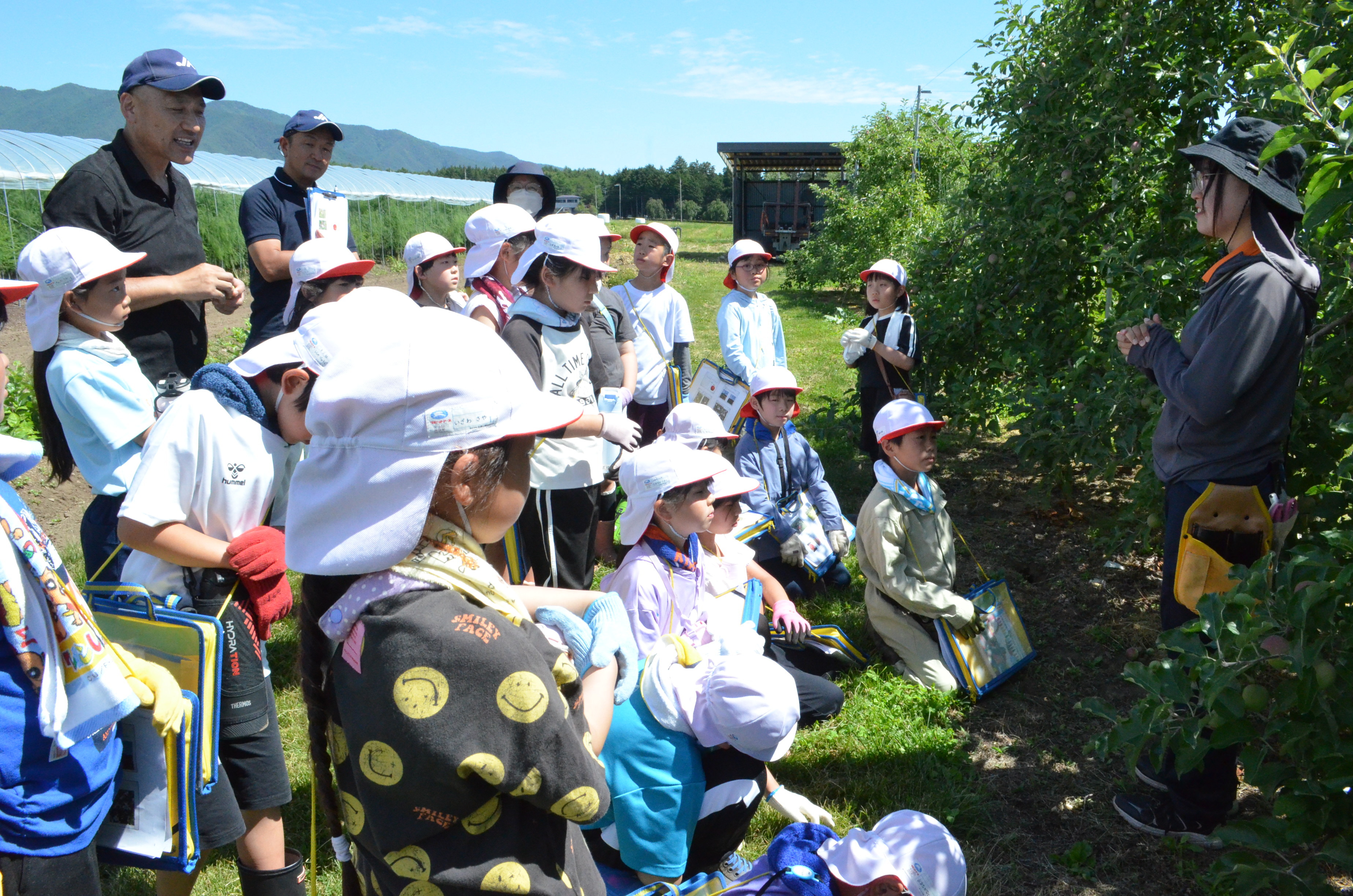 児童らに摘果作業の注意点を説明するＪＡ担当職員（長野県伊那市で）