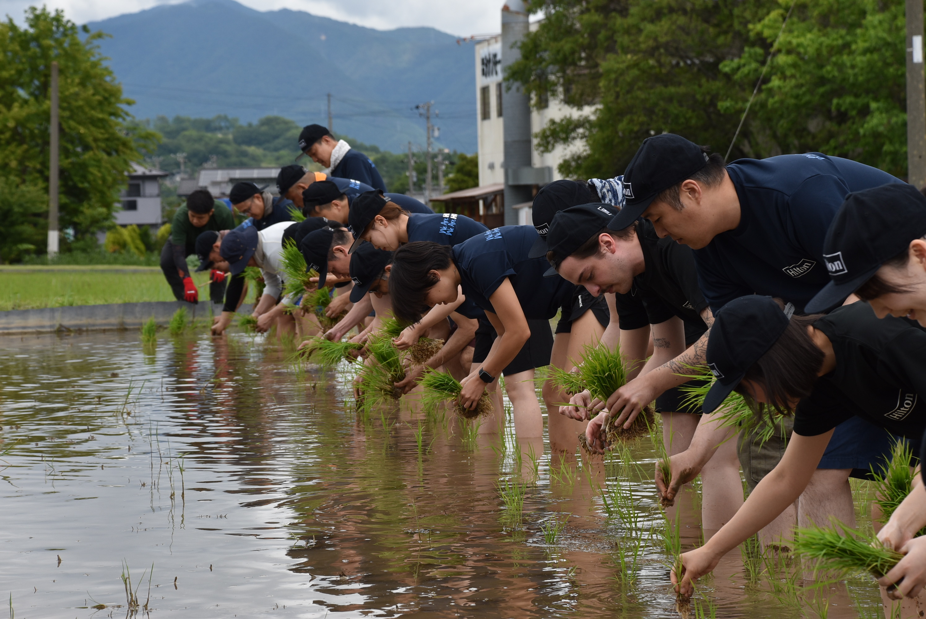 ヒルトン東京が上田市で８回目の田植え体験　ヒルトンライスプロジェクト2026