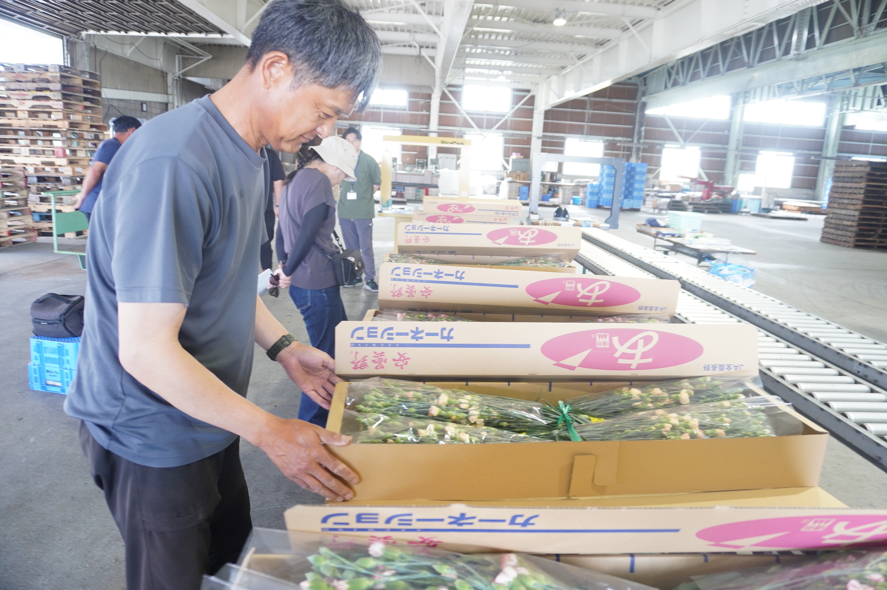 高品質なカーネーション出荷へ 目揃いで規格統一 | 県内JAの話題 | JA
