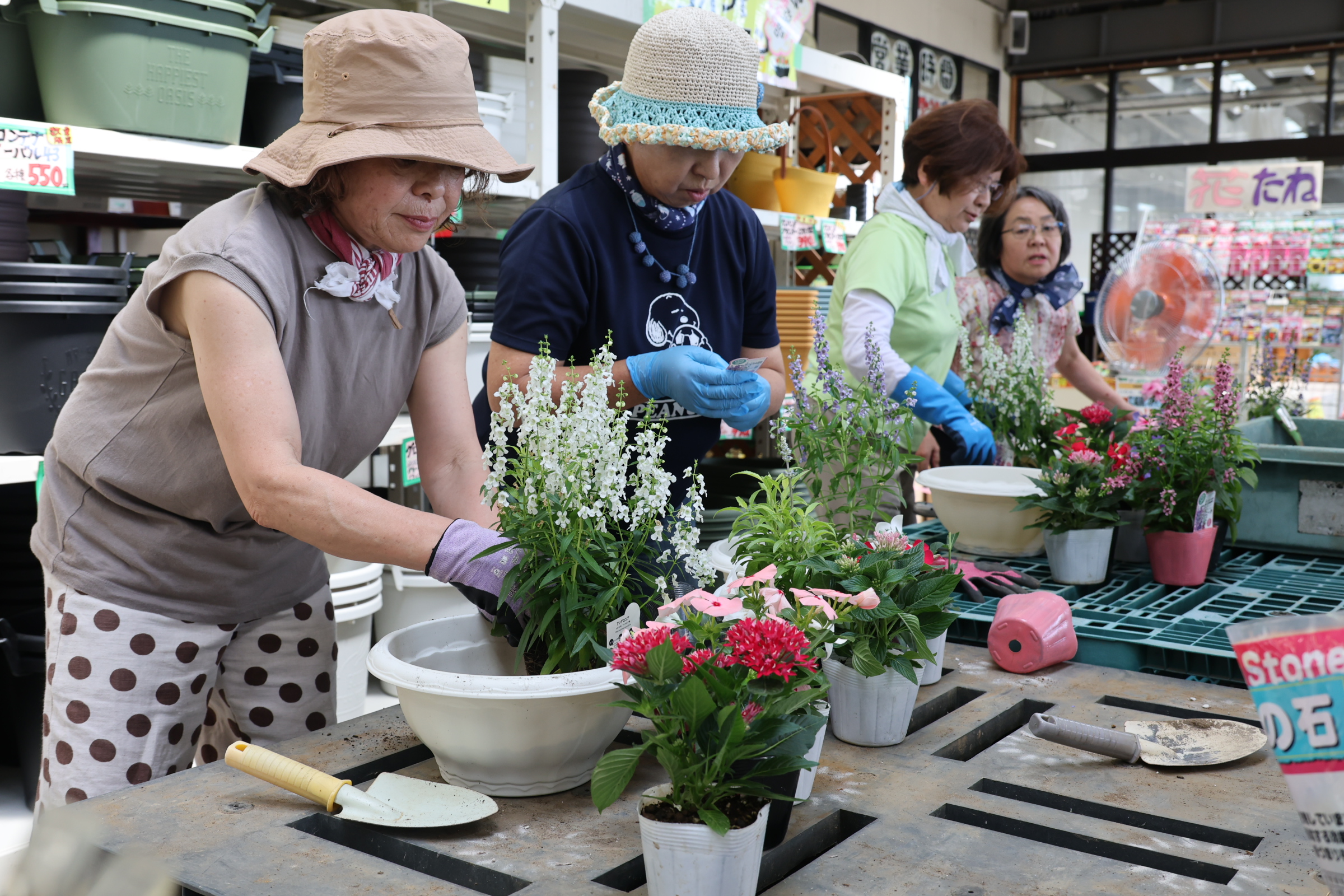 ja ファーム 茅野