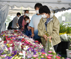 毎年恒例 お盆の市 切り花大好評 毎年恒例 お盆の市 切り花大好評