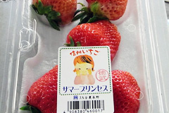 2_strawberry_5-Oct-15-2021-12-48-26-43-AM