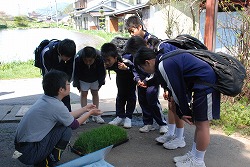 「愛知県の中学生、木曽で体験学習」の画像